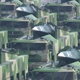 Image for article titled Here's What We Saw At China’s Gigantic Military Parade